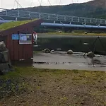 Lyngen Fjordhotell